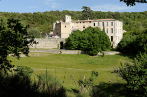 Le château de Buoux